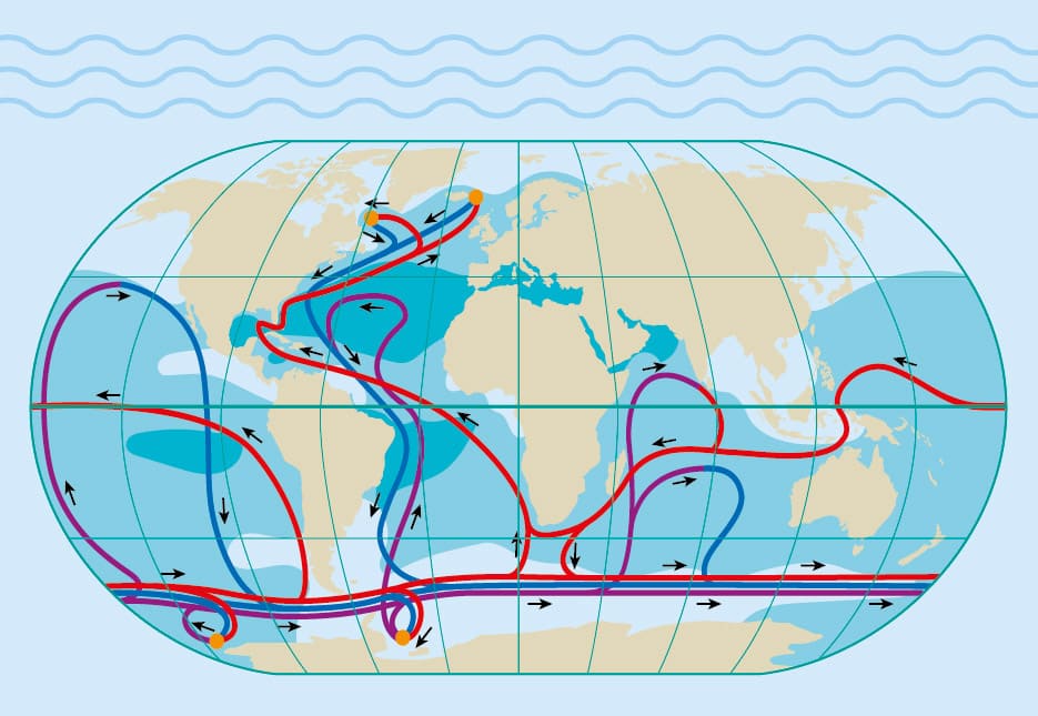 Die Grafik zeigt eine Meeresströmung, mit der die Ozeane weltweit verbunden sind. Diese nennt sich „globales Förderband“. Link zur vergrößerten Darstellung des Bildes.