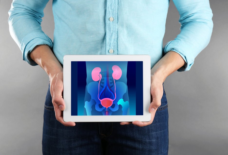 Das Foto zeigt den Torso eines Mannes im Anschnitt, der vor seinem Unterleib ein Tablet hält. Darauf ist eine Abbildung innerer Organe beim Mann zu sehen wie die Nieren, die Blase, die Prostata. Link zur vergrößerten Darstellung des Bildes.