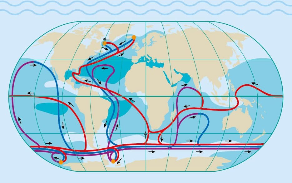 Die Grafik zeigt eine Meeresströmung, mit der die Ozeane weltweit verbunden sind. Diese nennt sich „globales Förderband“. Link zum Artikel.