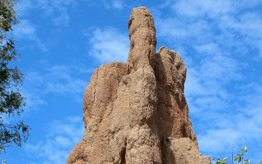 Das Symbolbild zeigt einen großen Termitenhügel, der eine kathedralen-ähnliche Form hat. Er scheint wie ein Termitenhochhaus in den Himmel hineinzuragen.   Link zum Artikel.