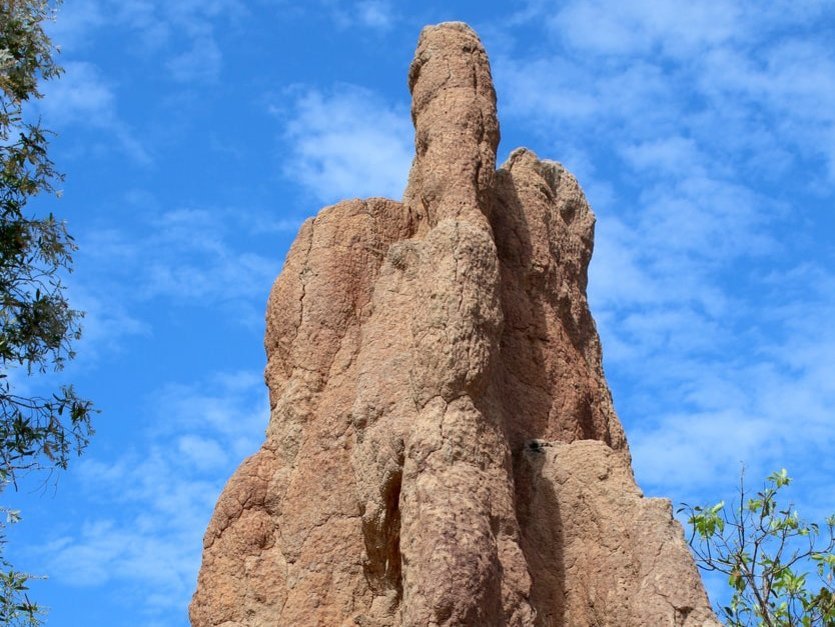 Das Symbolbild zeigt einen großen Termitenhügel, der eine kathedralen-ähnliche Form hat. Er scheint wie ein Termitenhochhaus in den Himmel hineinzuragen.  Link zur vergrößerten Darstellung des Bildes.