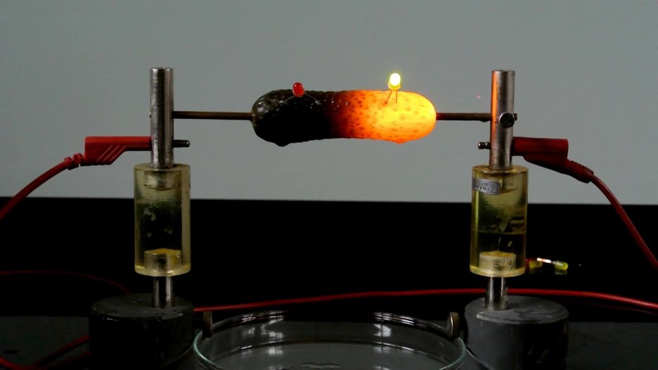 Das Bild zeigt ein Experiment, in dem eine Salzgurke an Strom angeschlossen und dann vorübergehend zum Glühen gebracht wird. Dabei sieht sie fast wie eine Glühbirne aus.