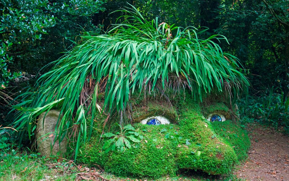 Das Bild zeigt eine Erdskulptur der Künstlerin Susan Hill, die „der Kopf des Riesen“ heißt. Die Skulptur sieht aus wie ein halbes Gesicht, das aus der Erde herausguckt. Haare, Augen, Nase und Ohren sind zu sehen, alles unterhalb der Nase nicht. Das Gesicht des Riesen ist flauschig-grün mit Gras und Moos bewachsen. Seine Kurzhaarfrisur besteht aus wuschelig wachsenden Lilien. Seine blauen Augen scheinen aufmerksam zu schauen.  Link zum Artikel.