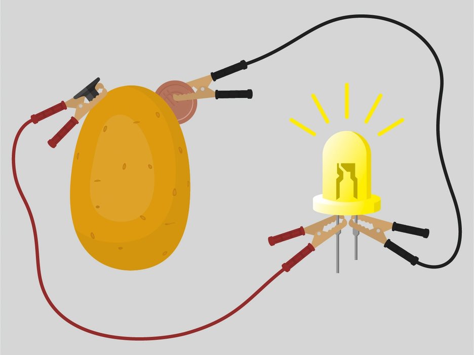 Zu sehen ist eine Illustration mit einer Kartoffel, die Strom erzeugt, wenn man zwei verschiedene Metallstücke hineinsteckt und mit Kabeln verbindet. Der Stromfluss bringt sogar eine Lampe zum Glühen. Link zur vergrößerten Darstellung des Bildes.