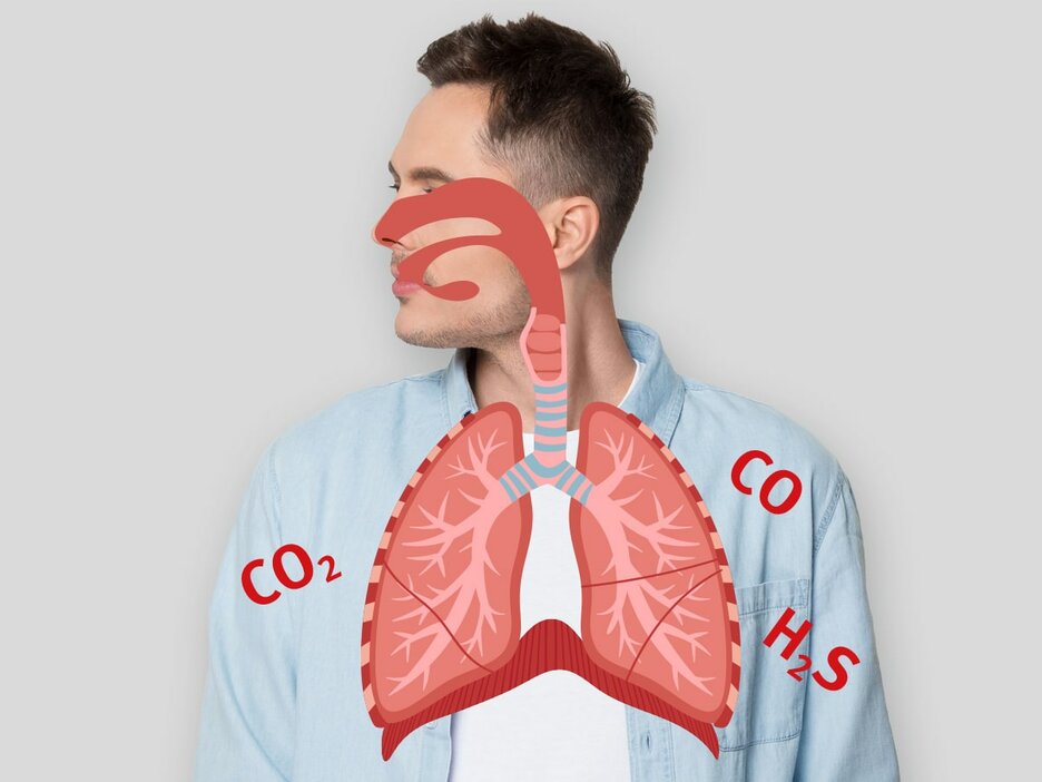 Das Foto zeigt eine Bildmontage. Zu sehen ist ein Mann in blauem Hemd, der zu Seite schaut. Über seiner Nase, seinem Hals und seiner Brust liegt eine Grafik in Rot und Grau, die verdeutlicht, wo sich seine Atemwege befinden – von Mund und Nase über den Rachen, die Luftröhre hin zu den Lungen und zum Zwerchfell. Drumherum sind drei verschiedene Atemgifte als chemische Zeichen zu sehen. Kohlendioxid, abgekürzt CO2, Kohlenmonoxid, abgekürzt CO und Schwefelwasserstoff, abgekürzt H2S. Diese Atemgifte können die Atemwege reizen, das Atemzentrum lähmen, Schleimhäute und Gewebe zerstören, Organe schädigen oder zum Ersticken führen. Link zur vergrößerten Darstellung des Bildes.
