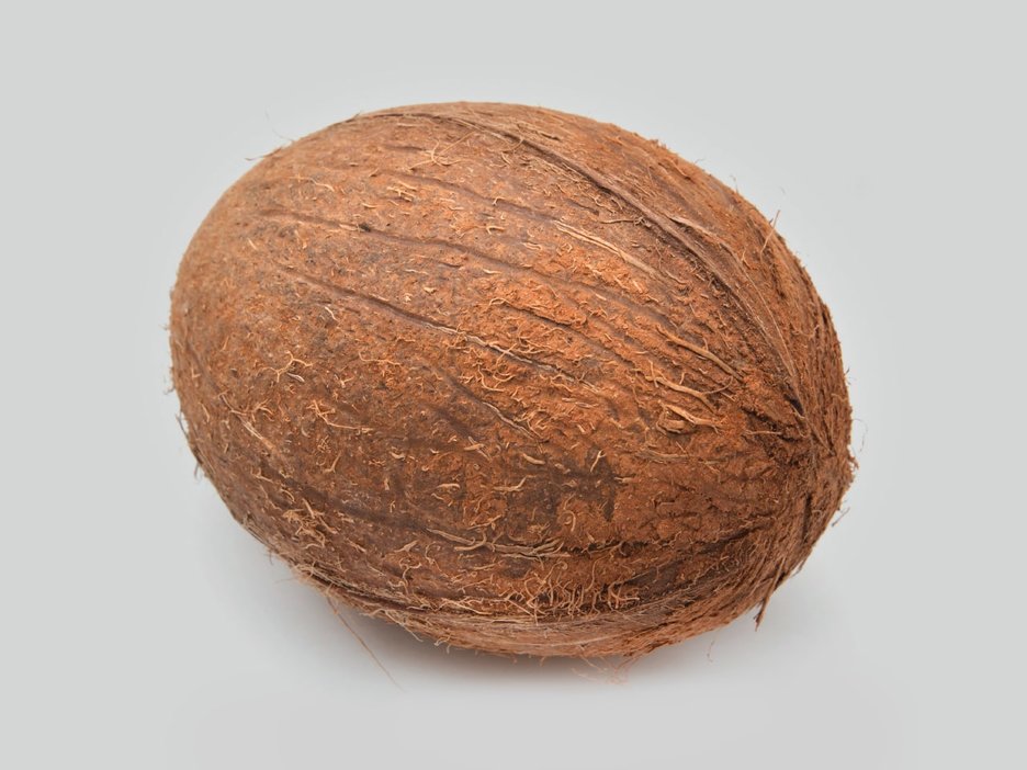 Zu sehen ist eine Kokosnuss als Symbolfoto. Sie soll verdeutlichen, dass fallende Kokosnüsse für Menschen, die sich im Schatten unter Palmen aufhalten, lebensgefährlich sein können. Etwa 150 Menschen werden pro Jahr von Kokosnüssen erschlagen.