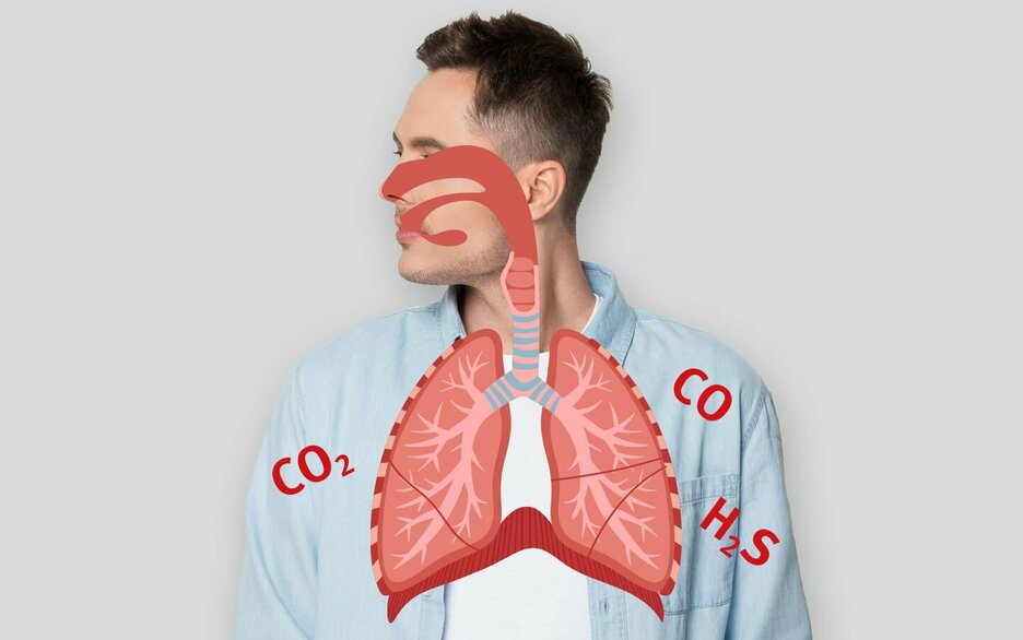 Das Foto zeigt eine Bildmontage. Zu sehen ist ein Mann in blauem Hemd, der zu Seite schaut. Über seiner Nase, seinem Hals und seiner Brust liegt eine Grafik in Rot und Grau, die verdeutlicht, wo sich seine Atemwege befinden – von Mund und Nase über den Rachen, die Luftröhre hin zu den Lungen und zum Zwerchfell. Drumherum sind drei verschiedene Atemgifte als chemische Zeichen zu sehen. Kohlendioxid, abgekürzt CO2, Kohlenmonoxid, abgekürzt CO und Schwefelwasserstoff, abgekürzt H2S. Diese Atemgifte können die Atemwege reizen, das Atemzentrum lähmen, Schleimhäute und Gewebe zerstören, Organe schädigen oder zum Ersticken führen. Link zum Artikel.