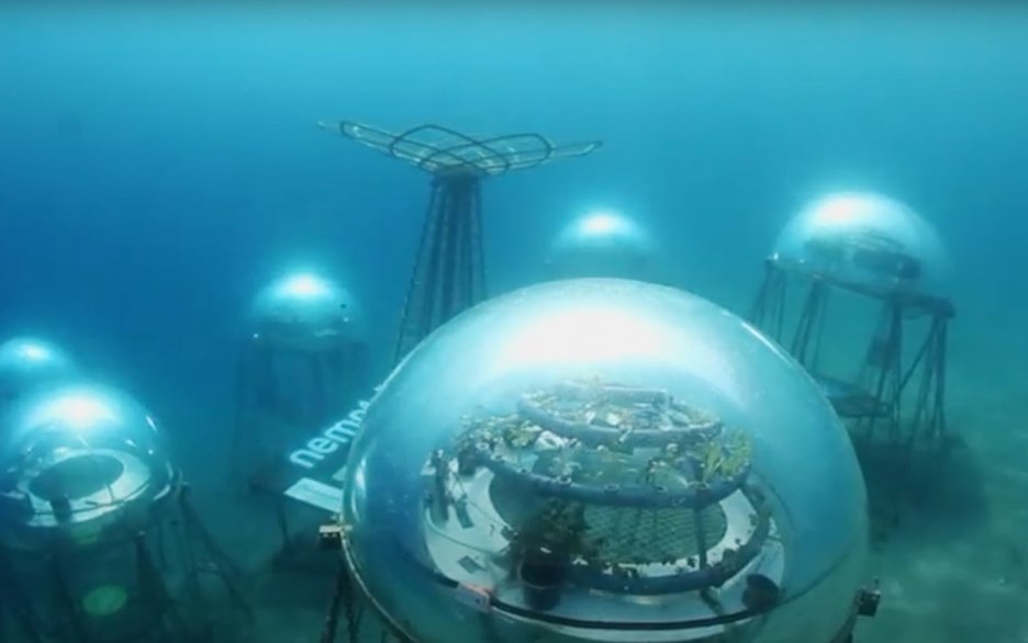 Das Bild zeigt ein Meergewächshaus unter Wasser vor der italienischen Küste bei Genua. Es handelt sich dabei um lichtdurchlässige Kuppeln, die auf dem Meeresgrund stehen, in denen Gemüse und Salat gezogen wird. Link zum Artikel.