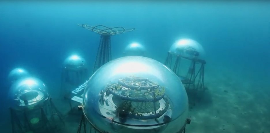 Das Bild zeigt ein Meergewächshaus unter Wasser vor der italienischen Küste bei Genua. Es handelt sich dabei um lichtdurchlässige Kuppeln, die auf dem Meeresgrund stehen, in denen Gemüse und Salat gezogen wird. Link zur vergrößerten Darstellung des Bildes.