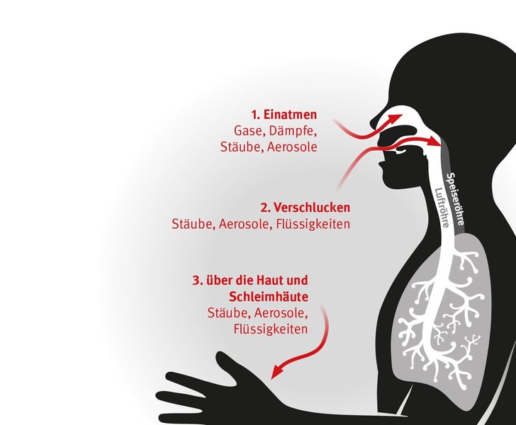 Die Grafik zeigt drei verschiedene Wege, wie Gefahrstoffe in den menschlichen Körper gelangen können. Und zwar über einatmen, verschlucken, die Haut und Schleimhäute.